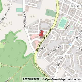 Mappa Via degli Scaloni, 24, 00066 Manziana, Roma (Lazio)