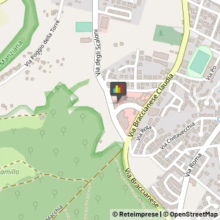 Palestre e Centri Fitness,00066Roma
