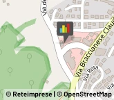 Palestre e Centri Fitness,00066Roma