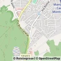 Karte Manziana