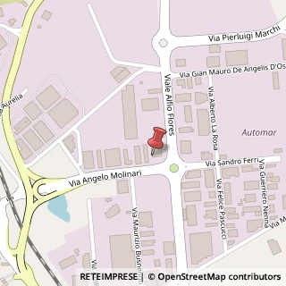 Mappa Via Alfio Flores, 8a, 00053 Civitavecchia, Roma (Lazio)
