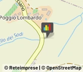 Aziende Agricole Orciano Pisano,56040Pisa
