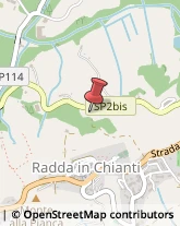 Viale Venti Settembre, 15,53017Radda in Chianti