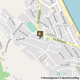 Designers - Studi Numana,60026Ancona