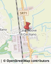 Località Casanuova di Ceciliano, 48/L,52100Arezzo