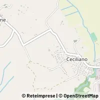Peta Arezzo