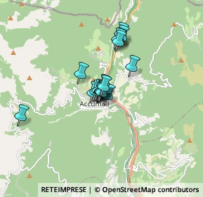 Mappa Via Salaria Vecchia, 02100 Accumoli RI, Italia (1.00526)