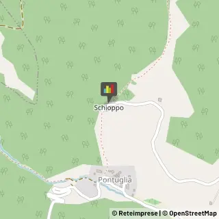 Bed e Breakfast Scheggino,06040Perugia