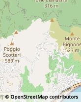 Studi - Geologia, Geotecnica e Topografia Albenga,17031Savona