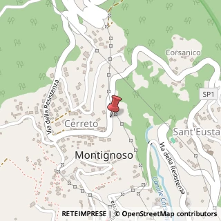 Mappa Via della Resistenza, 41, 54038 Montignoso, Massa-Carrara (Toscana)