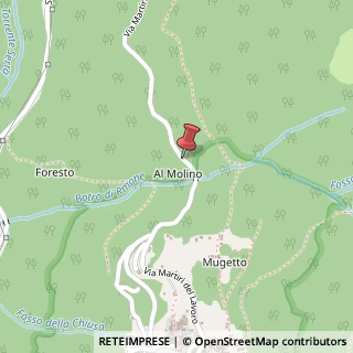 Mappa Via martiri del lavoro 9, 55040 Seravezza, Lucca (Toscana)