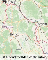 Factoring Siena,53100Siena