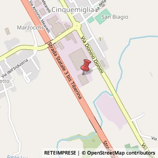 Mappa Via Donino Donini, 51, 06012 Città di Castello, Perugia (Umbria)