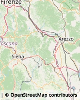 Trasporti Siena,53100Siena