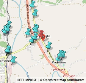 Mappa Via Donino Donini, 06010 Città di Castello PG, Italia (1.2255)