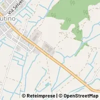 Peta Arezzo