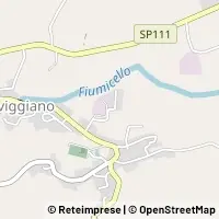 Kort Cingoli