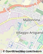 Agenzie di Animazione e Spettacolo Modena,41100Modena