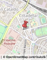 Viale Gaetano Storchi, 118/120,41100Modena