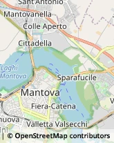 Ostetrici e Ginecologi - Medici Specialisti Mantova,46100Mantova