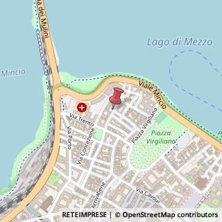 Mappa Via Alessandro Cavriani, 8, 46100 Mantova, Mantova (Lombardia)