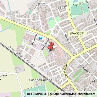 Mappa Via G. Ferrari, 13, 15 Codogno, Lodi (Lombardia)
