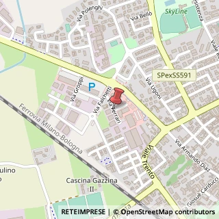 Mappa Via Rosolino Ferrari, 94, 26845 Codogno, Lodi (Lombardia)