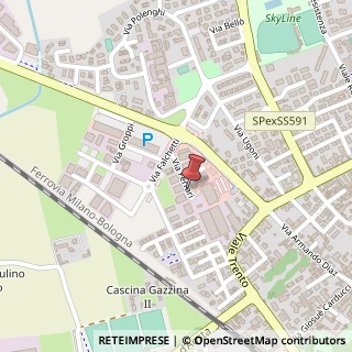 Mappa Via Ferrari Rosolino, 21, 26845 Codogno, Lodi (Lombardia)