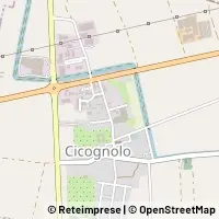 지도 Cicognolo