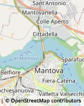 Veterinaria - Ambulatori e Laboratori Mantova,46100Mantova