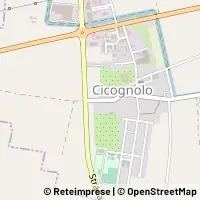 Karte Cicognolo