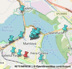 Mappa Via Fratelli Cairoli, 46100 Mantova MN, Italia (0.8075)