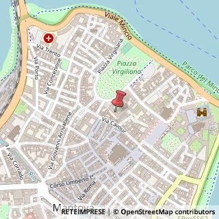 Mappa Piazza Virgiliana, 55, 46100 Mantova, Mantova (Lombardia)