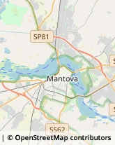 Commercialisti Mantova,46100Mantova