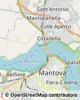 Consulenza Informatica Mantova,46100Mantova