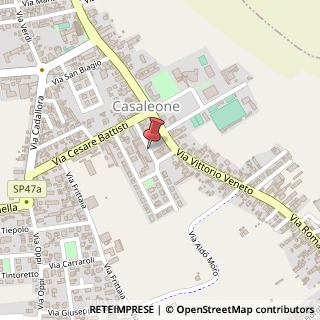 Mappa Via alcide de gasperi 16, 37052 Casaleone, Verona (Veneto)