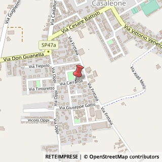 Mappa Via Giuseppe Carraroli,  1, 37052 Casaleone, Verona (Veneto)