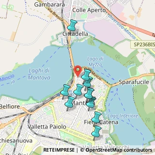 Mappa Via Concezione, 46100 Mantova MN, Italia (0.90909)