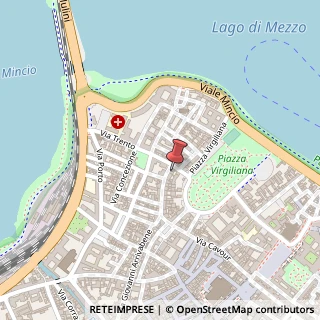 Mappa Via Dario Tassoni, 33, 46100 Mantova, Mantova (Lombardia)