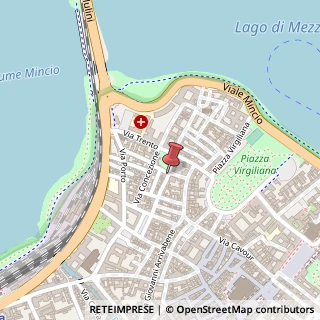 Mappa Via Carlo Cocastelli, 15, 46100 Mantova, Mantova (Lombardia)