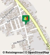 Via Giuseppe Mazzini, 4,37052Casaleone