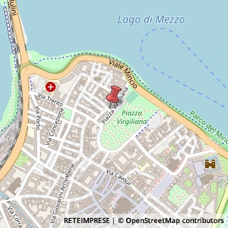 Mappa Piazza Virgiliana, 18, 46100 Mantova, Mantova (Lombardia)