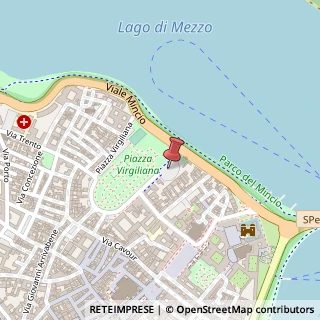 Mappa Piazza Virgiliana, 46100 Mantova MN, Italia, 46100 Mantova, Mantova (Lombardia)