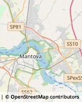 Autotrasporti Mantova,46100Mantova