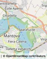 Autotrasporti Mantova,46100Mantova