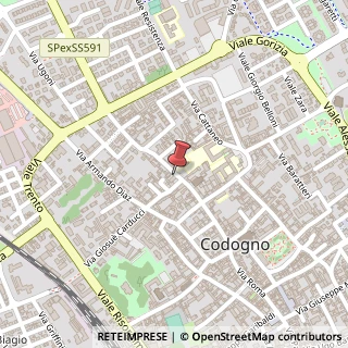 Mappa Via Vittorio Emanuele II, 48, 26845 Codogno, Lodi (Lombardia)