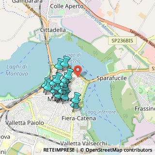 Mappa Vicolo Pace, 46100 Mantova MN, Italia (0.7625)