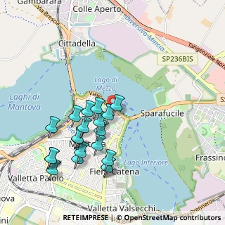 Mappa Vicolo Pace, 46100 Mantova MN, Italia (0.9795)