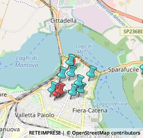Mappa Via Dario Tassoni, 46100 Mantova MN, Italia (0.785)