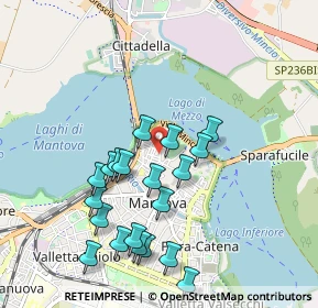 Mappa Via Dario Tassoni, 46100 Mantova MN, Italia (0.9695)